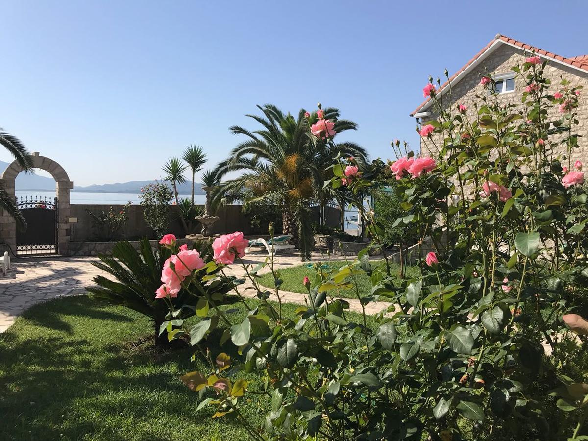 Apartments Apple Cat Montenegro Ko Bijela Exterior photo